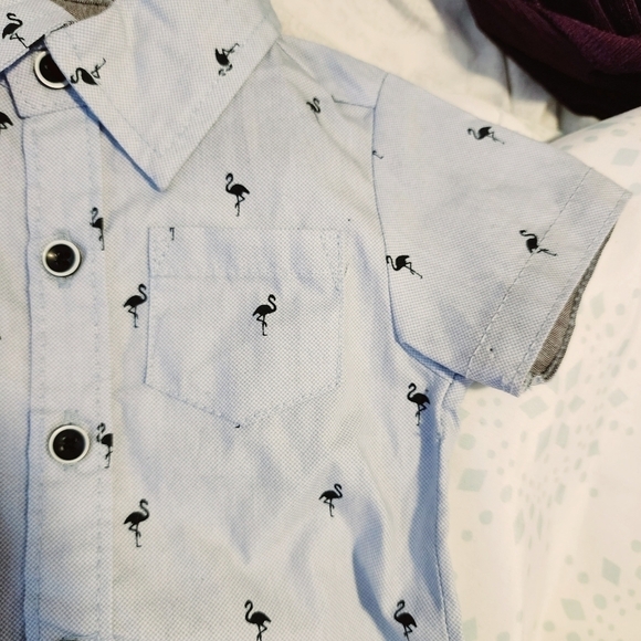 Free Planet Short Sleeve Collared One Piece Baby Boy 0-3M Blue Flamingo Print - Picture 3 of 8